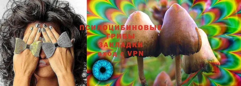 закладка  Козьмодемьянск  kraken маркетплейс  Псилоцибиновые грибы MAGIC MUSHROOMS 